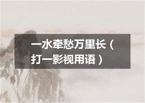 一水牵愁万里长（打一影视用语）