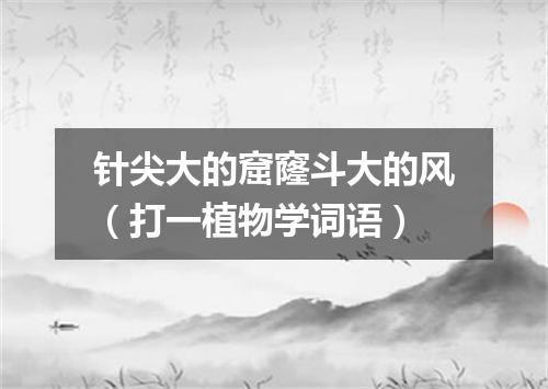 针尖大的窟窿斗大的风（打一植物学词语）