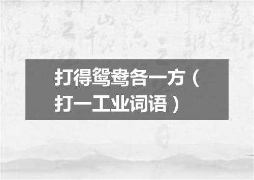 打得鸳鸯各一方（打一工业词语）