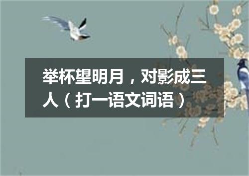 举杯望明月，对影成三人（打一语文词语）