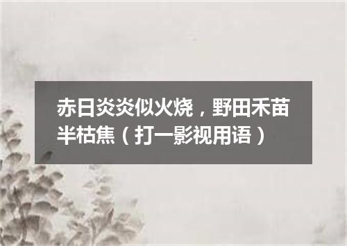 赤日炎炎似火烧，野田禾苗半枯焦（打一影视用语）
