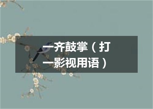 一齐鼓掌（打一影视用语）