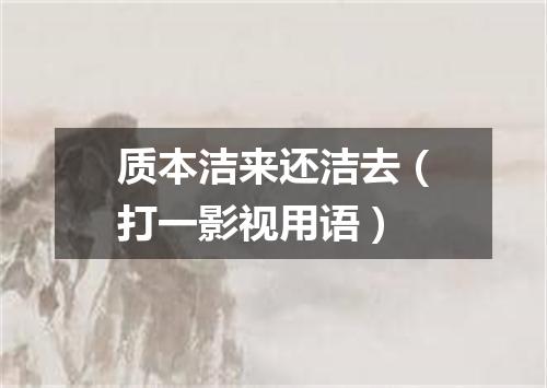 质本洁来还洁去（打一影视用语）