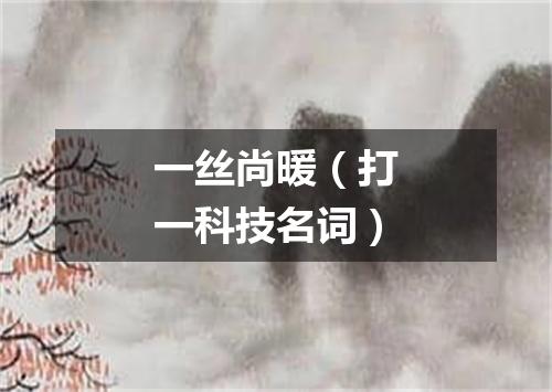 一丝尚暖（打一科技名词）