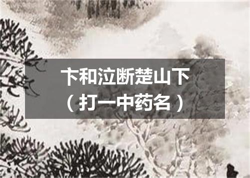 卞和泣断楚山下（打一中药名）