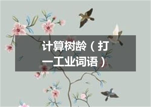 计算树龄（打一工业词语）