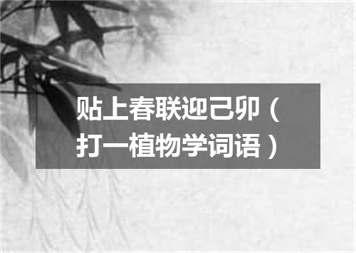 贴上春联迎己卯（打一植物学词语）