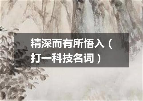 精深而有所悟入（打一科技名词）