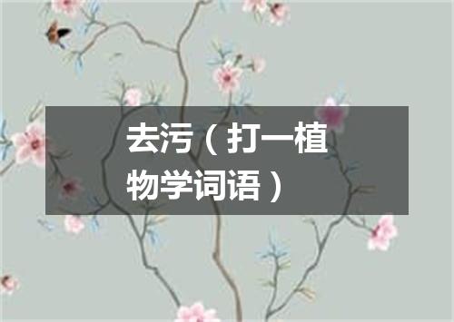 去污（打一植物学词语）