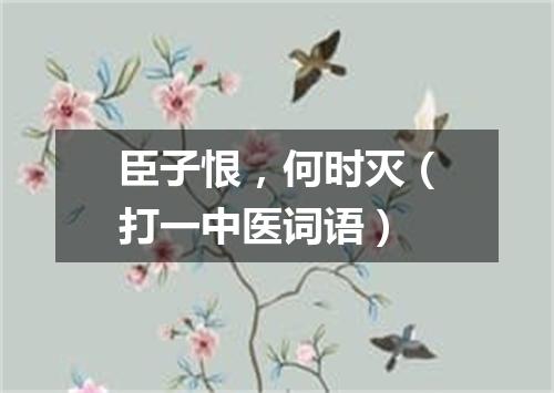 臣子恨，何时灭（打一中医词语）