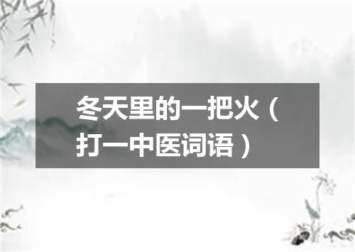冬天里的一把火（打一中医词语）