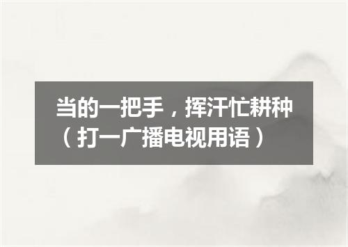 当的一把手，挥汗忙耕种（打一广播电视用语）
