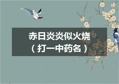 赤日炎炎似火烧（打一中药名）