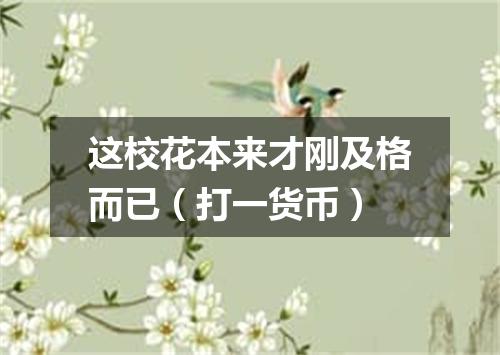 这校花本来才刚及格而已（打一货币）