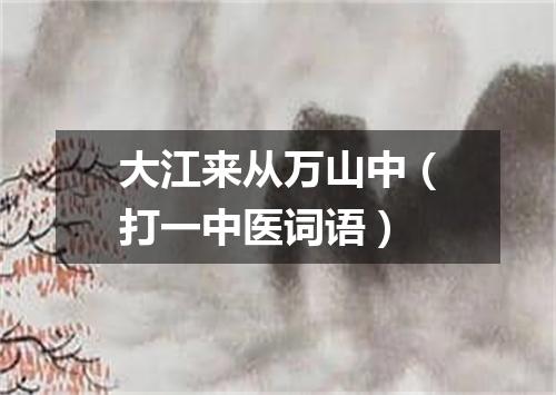 大江来从万山中（打一中医词语）