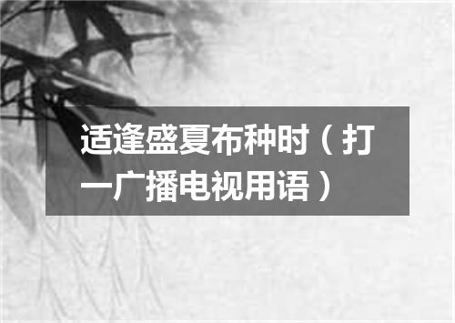 适逢盛夏布种时（打一广播电视用语）