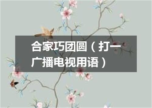 合家巧团圆（打一广播电视用语）