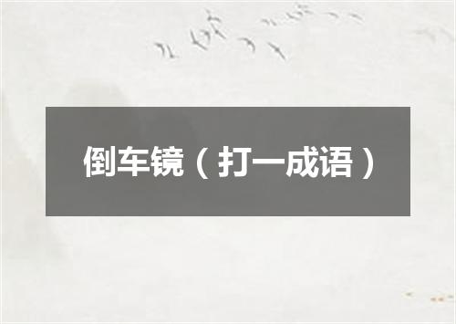 倒车镜（打一成语）