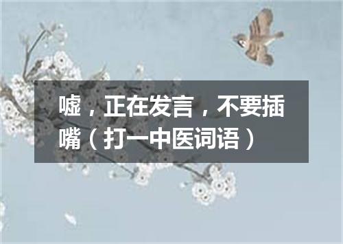 嘘，正在发言，不要插嘴（打一中医词语）