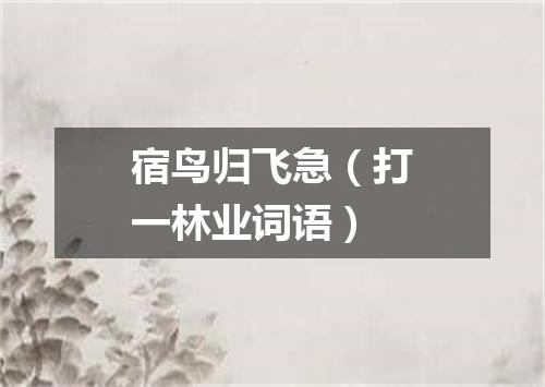 宿鸟归飞急（打一林业词语）