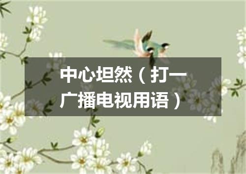 中心坦然（打一广播电视用语）
