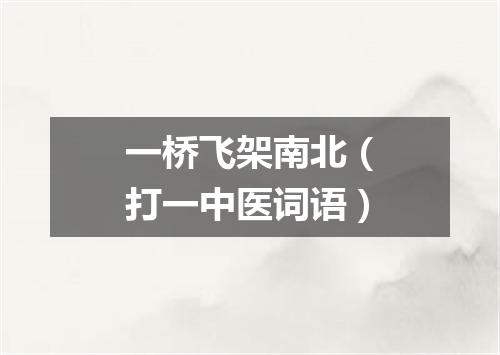 一桥飞架南北（打一中医词语）