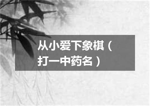 从小爱下象棋（打一中药名）