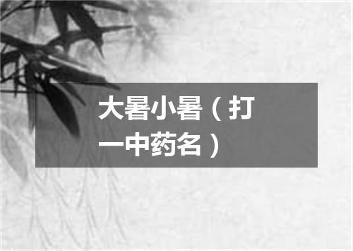 大暑小暑（打一中药名）