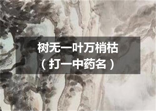 树无一叶万梢枯（打一中药名）
