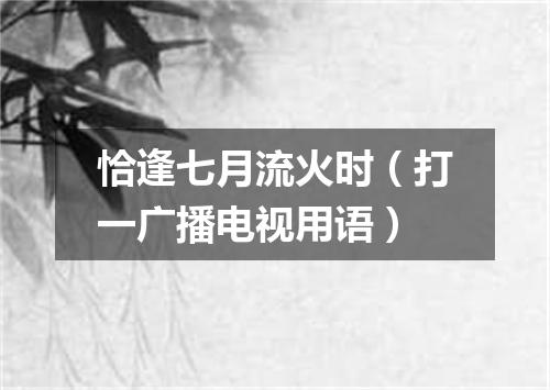恰逢七月流火时（打一广播电视用语）