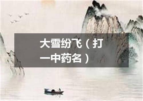 大雪纷飞（打一中药名）