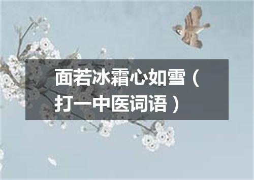 面若冰霜心如雪（打一中医词语）