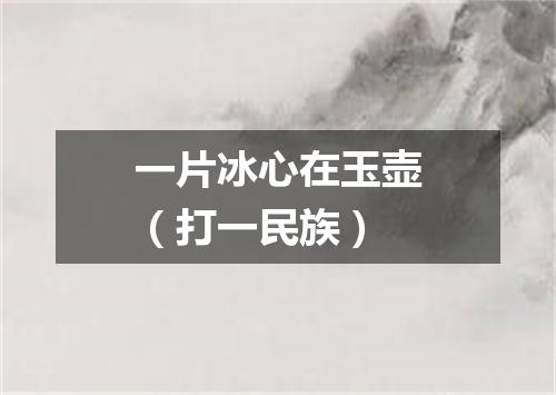 一片冰心在玉壶（打一民族）
