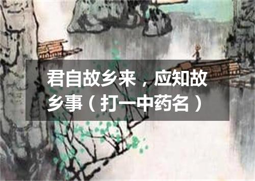 君自故乡来，应知故乡事（打一中药名）