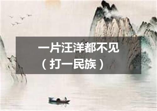 一片汪洋都不见（打一民族）