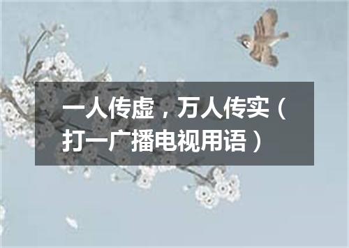 一人传虚，万人传实（打一广播电视用语）