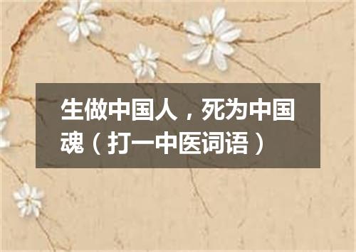 生做中国人，死为中国魂（打一中医词语）
