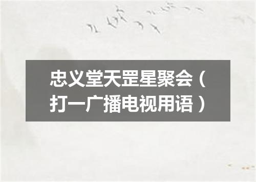 忠义堂天罡星聚会（打一广播电视用语）