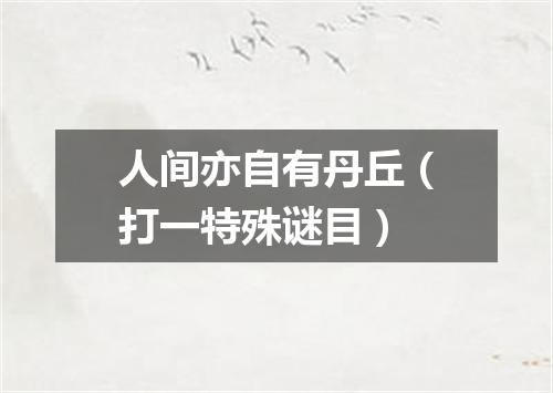 人间亦自有丹丘（打一特殊谜目）
