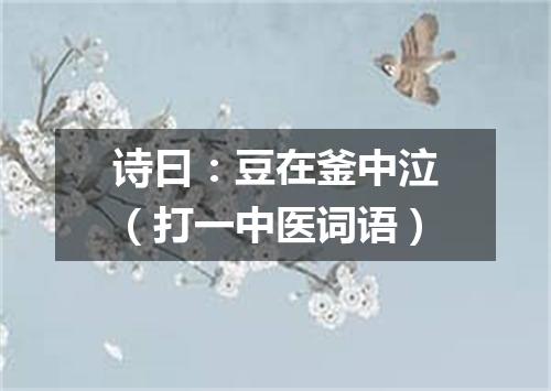 诗曰：豆在釜中泣（打一中医词语）