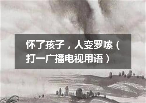 怀了孩子，人变罗嗦（打一广播电视用语）