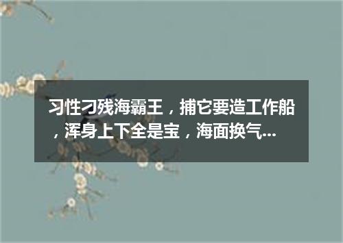 习性刁残海霸王，捕它要造工作船，浑身上下全是宝，海面换气喷银泉。（打一动物）