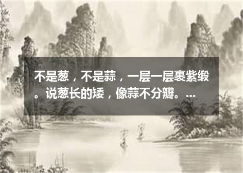 不是葱，不是蒜，一层一层裹紫缎。说葱长的矮，像蒜不分瓣。（打一蔬菜）