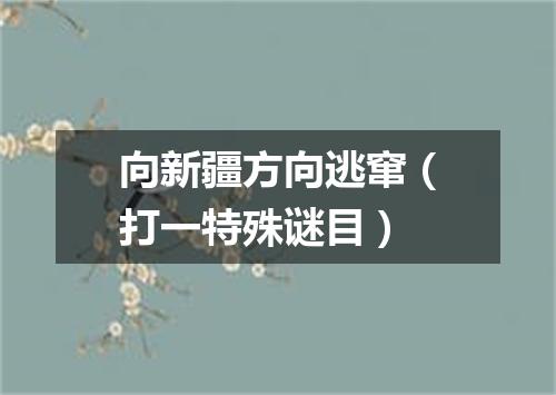 向新疆方向逃窜（打一特殊谜目）