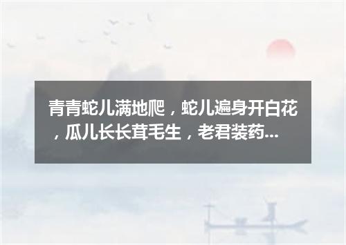 青青蛇儿满地爬，蛇儿遍身开白花，瓜儿长长茸毛生，老君装药要用它。（打一植物）
