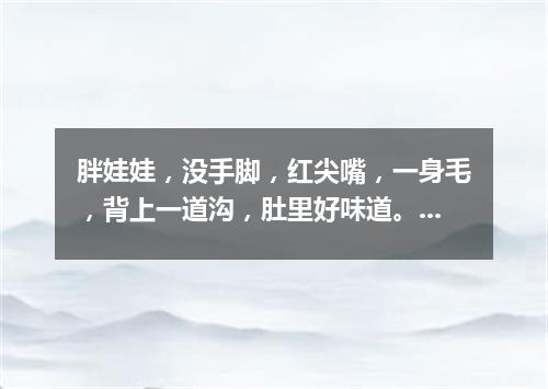 胖娃娃，没手脚，红尖嘴，一身毛，背上一道沟，肚里好味道。（打一水果）
