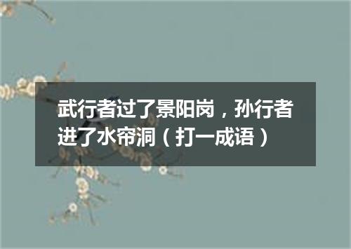 武行者过了景阳岗，孙行者进了水帘洞（打一成语）
