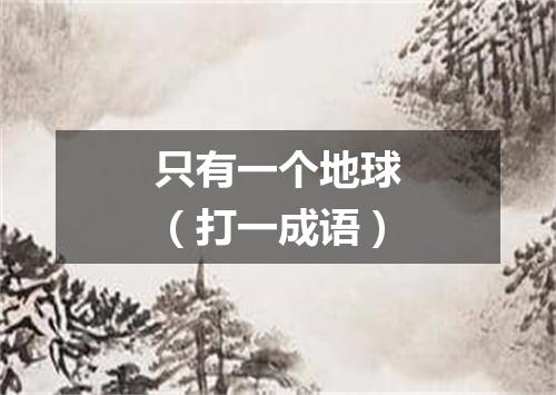 只有一个地球（打一成语）