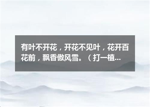 有叶不开花，开花不见叶，花开百花前，飘香傲风雪。（打一植物）