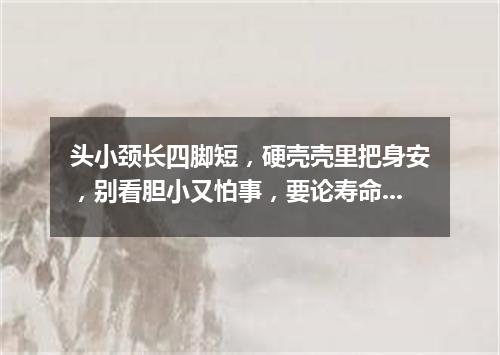 头小颈长四脚短，硬壳壳里把身安，别看胆小又怕事，要论寿命大无边。（打一动物）